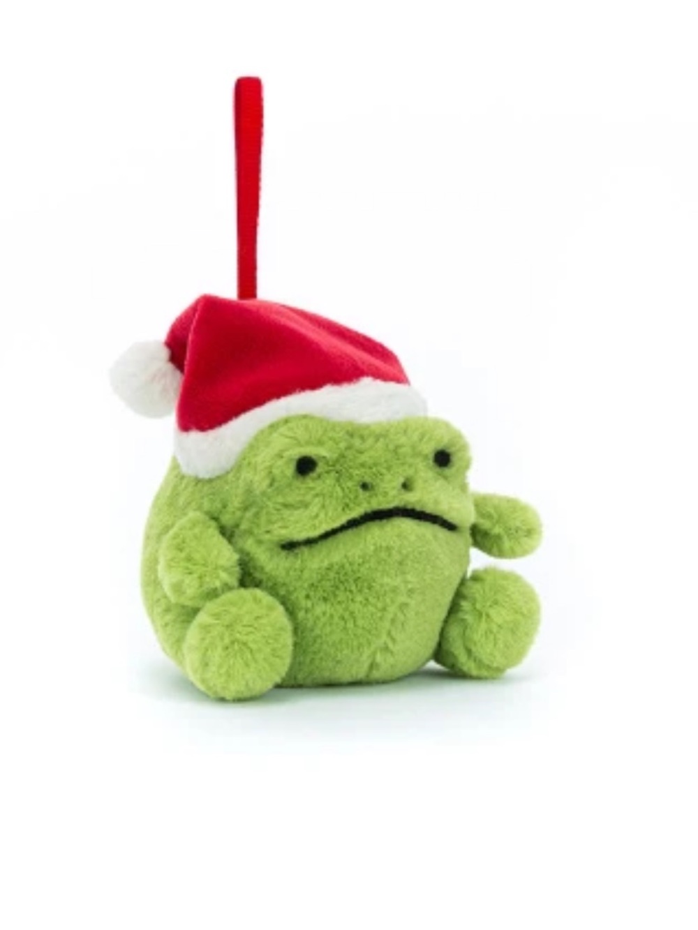 Jellycat Ricky Rain Frog Decoration NWT (will come in dust bag)